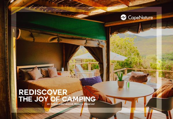 GVB Launch grid 02 GVB Launch grid 02