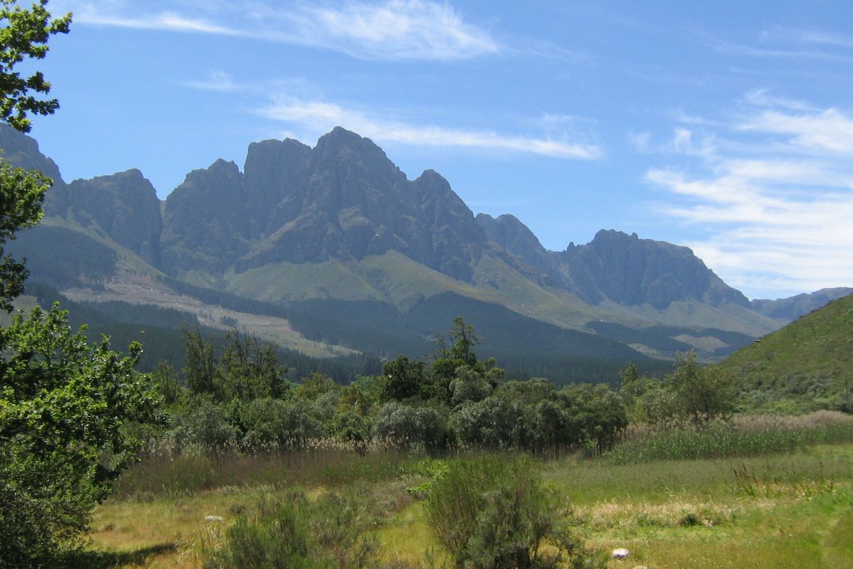 Assegaaibosch 45 Assegaaibosch 45