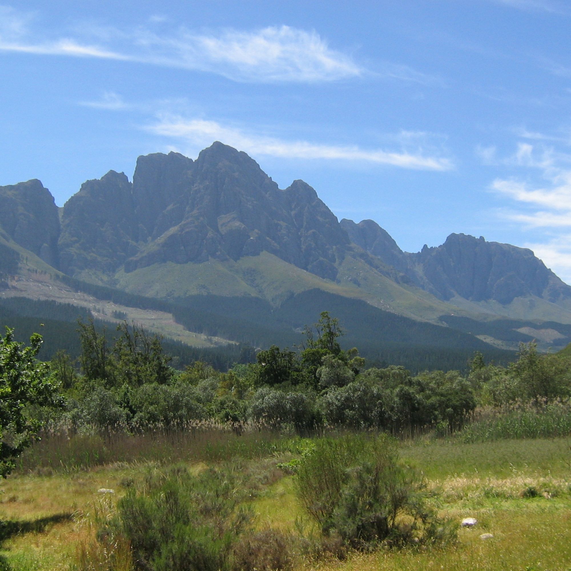 Assegaaibosch 45 Assegaaibosch 45