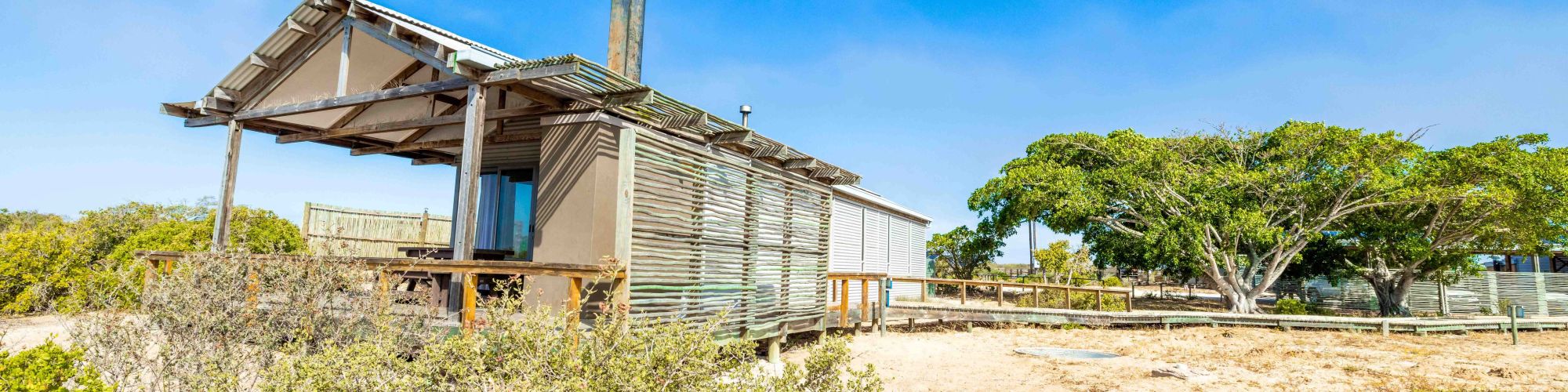 CN ROCH Moorhen LR 9892 CN ROCH Moorhen LR 9892