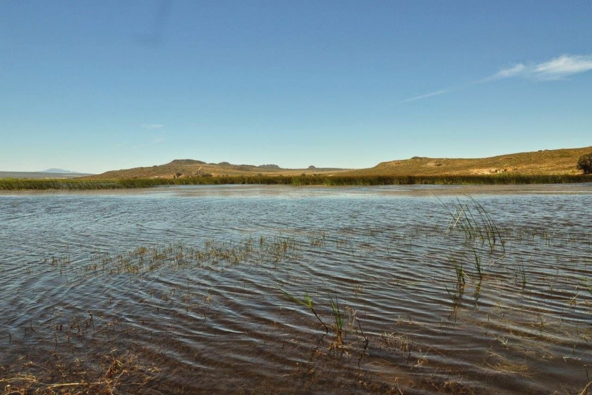 Verlorenvlei saramsar Verlorenvlei saramsar