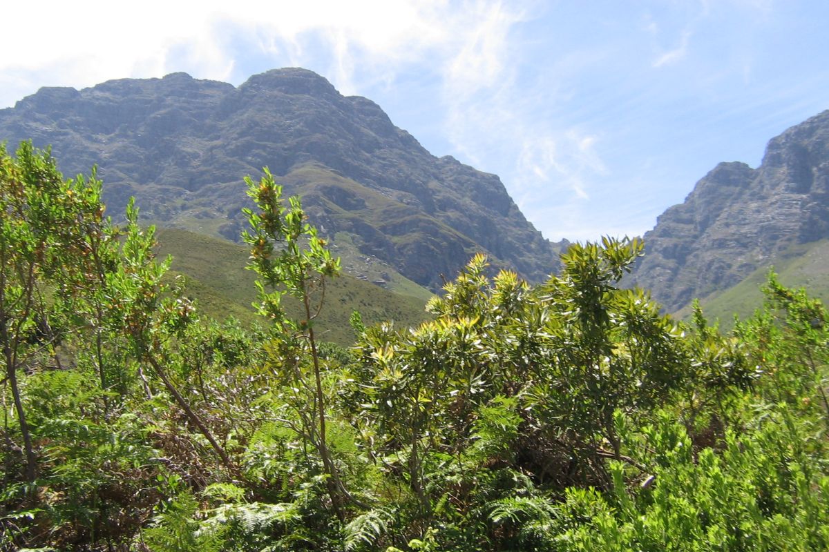 Jonkershoek Circular Drive Out 5 Jonkershoek Circular Drive Out 5