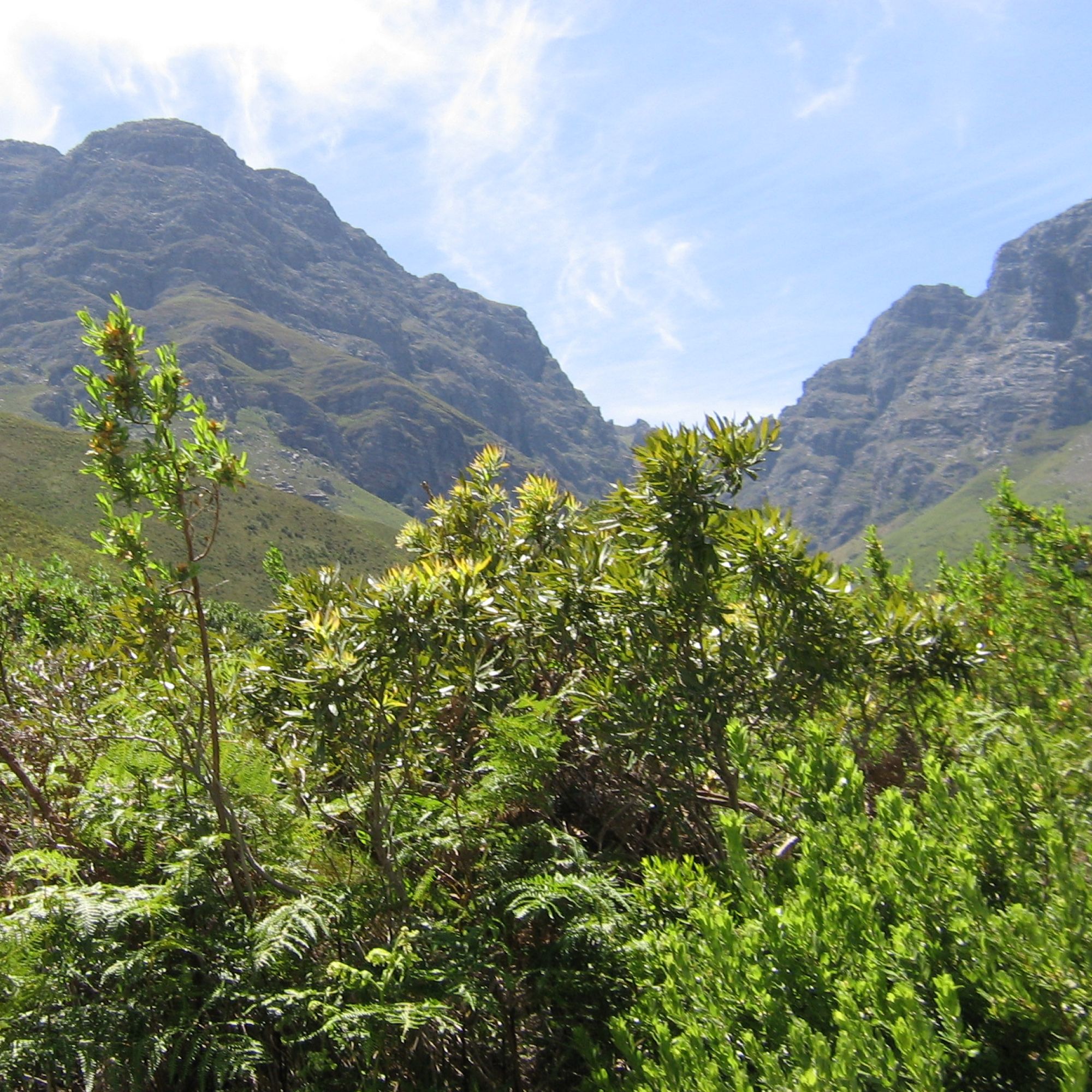 Jonkershoek Circular Drive Out 5 Jonkershoek Circular Drive Out 5