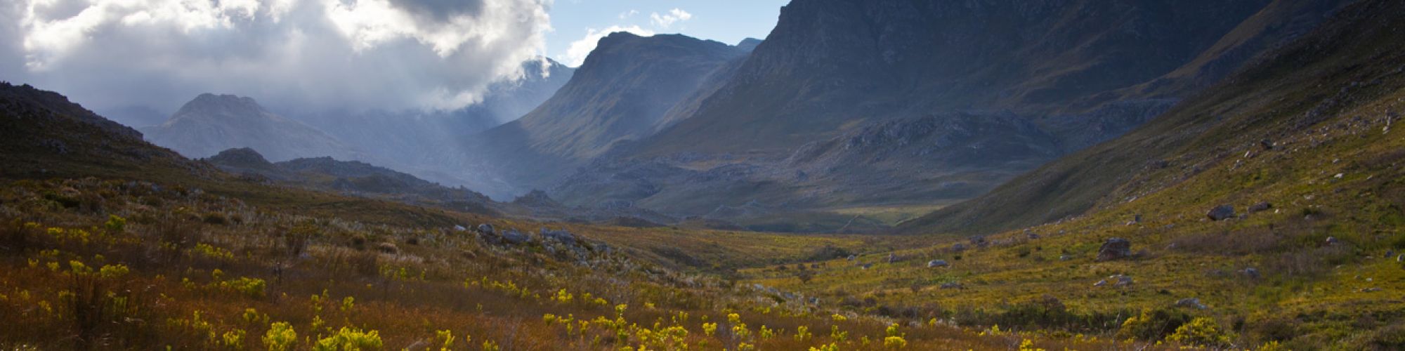 Kogelberg Nature Reserve copyright Scott N Ramsay 127 Kogelberg Nature Reserve copyright Scott N Ramsay 127