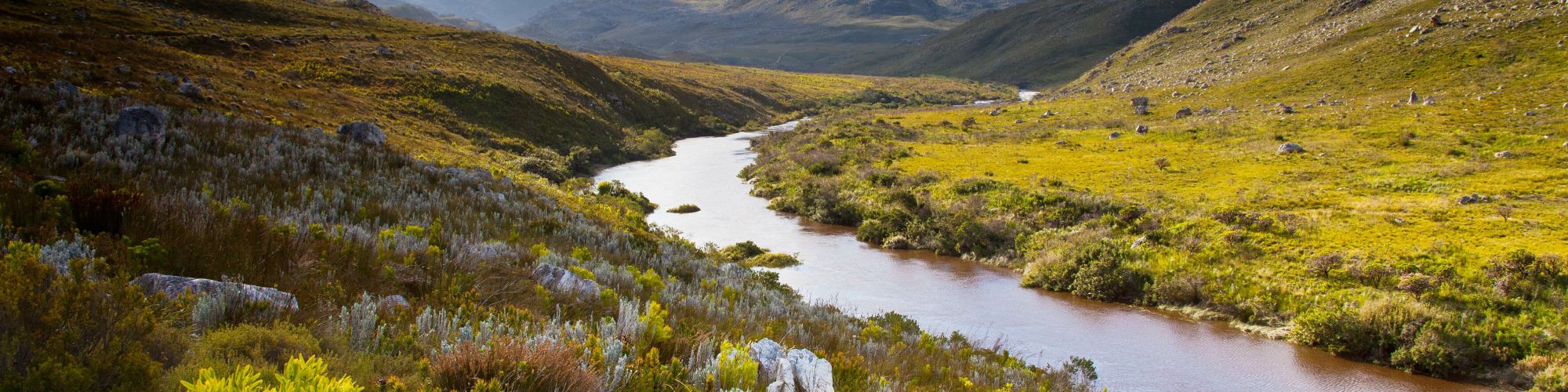 Kogelberg Scott Ramsay Kogelberg Scott Ramsay