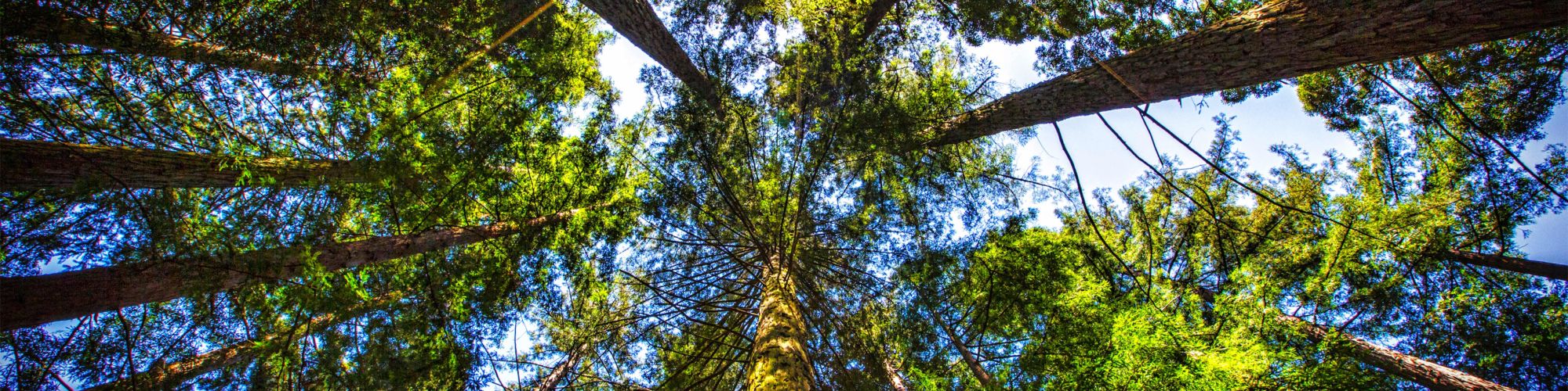 MG 6963x edit MG 6963x edit