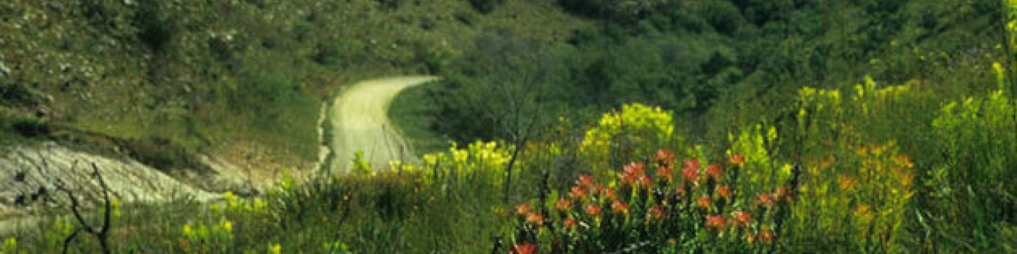 Outeniqua Nature Reserve Outeniqua Nature Reserve