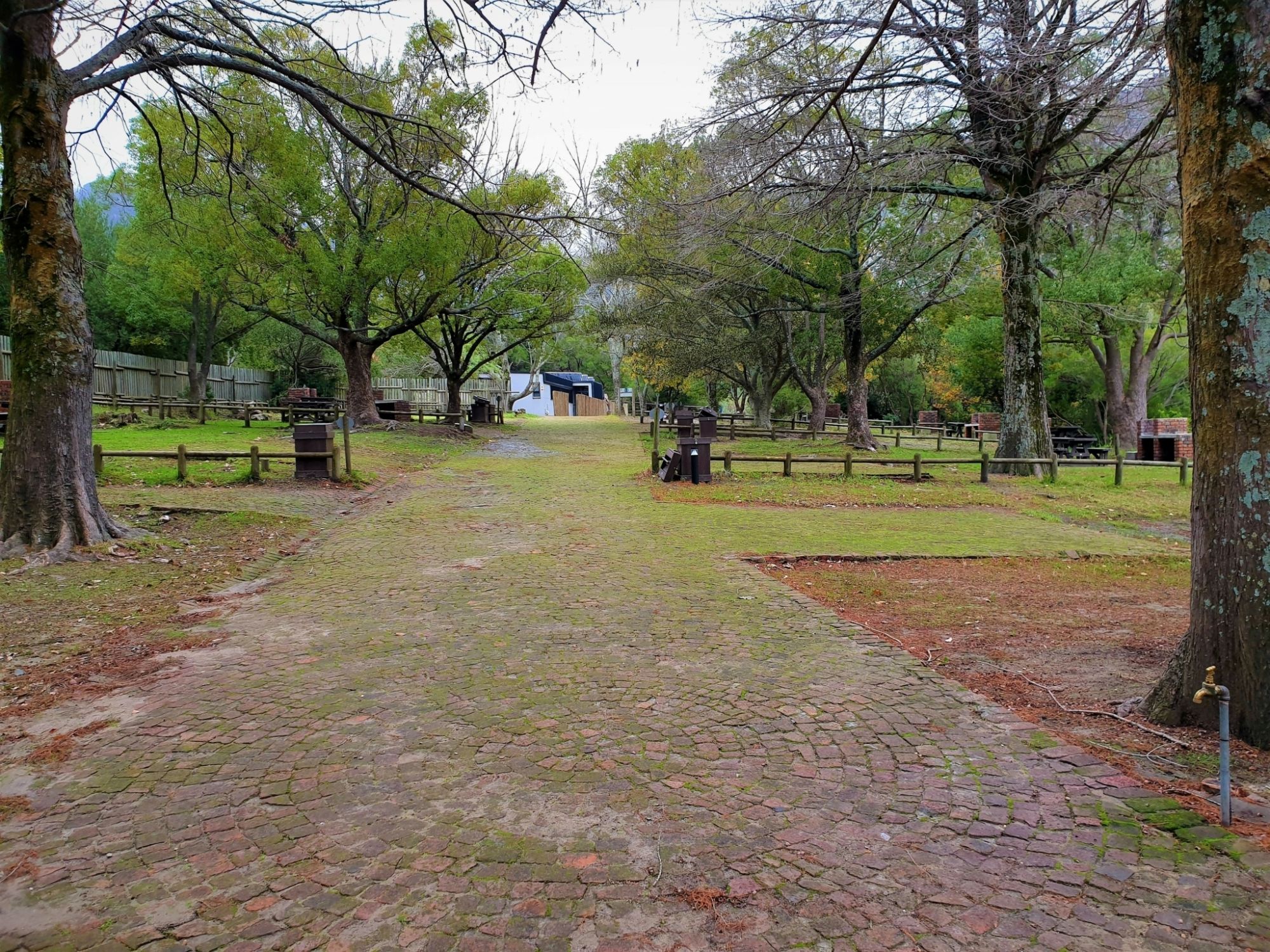 20210712 101536 20210712 101536