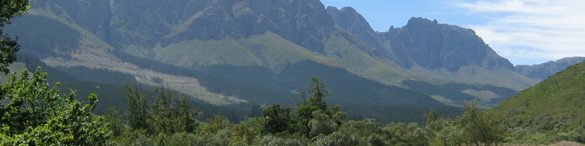 Assegaaibosch 45 Assegaaibosch 45