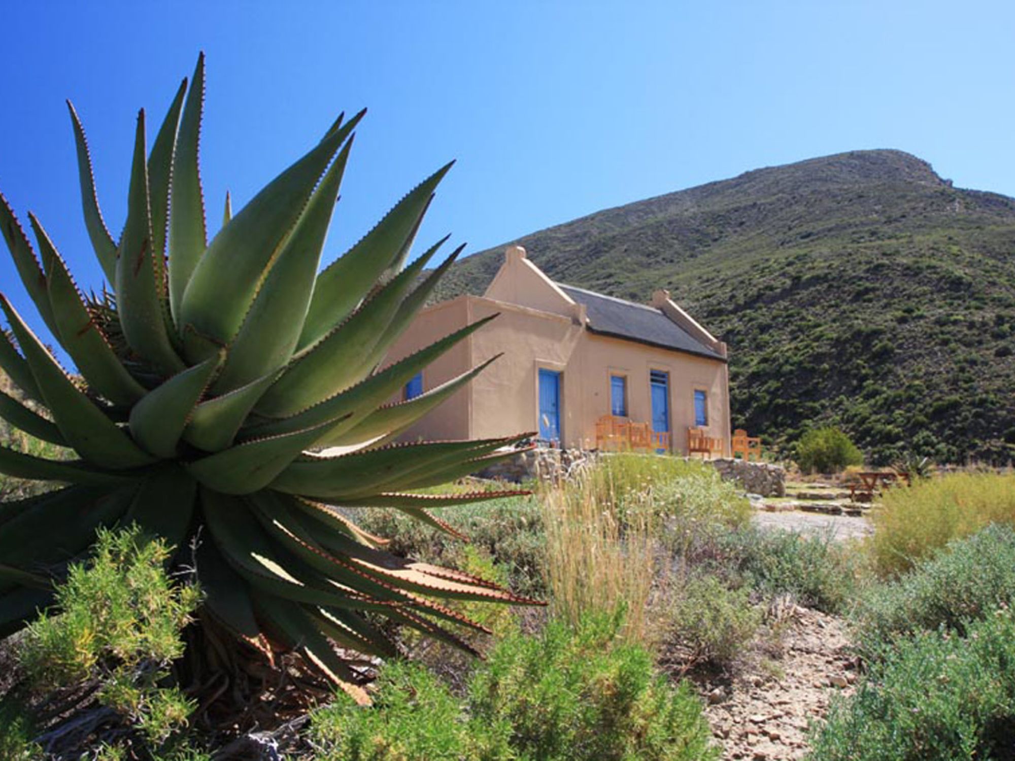 Snyman Huiss Snyman Huiss