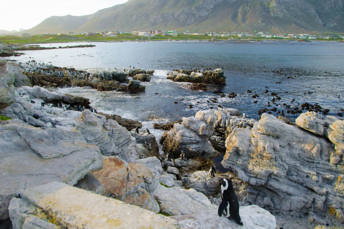 Stony Point 4 Stony Point 4