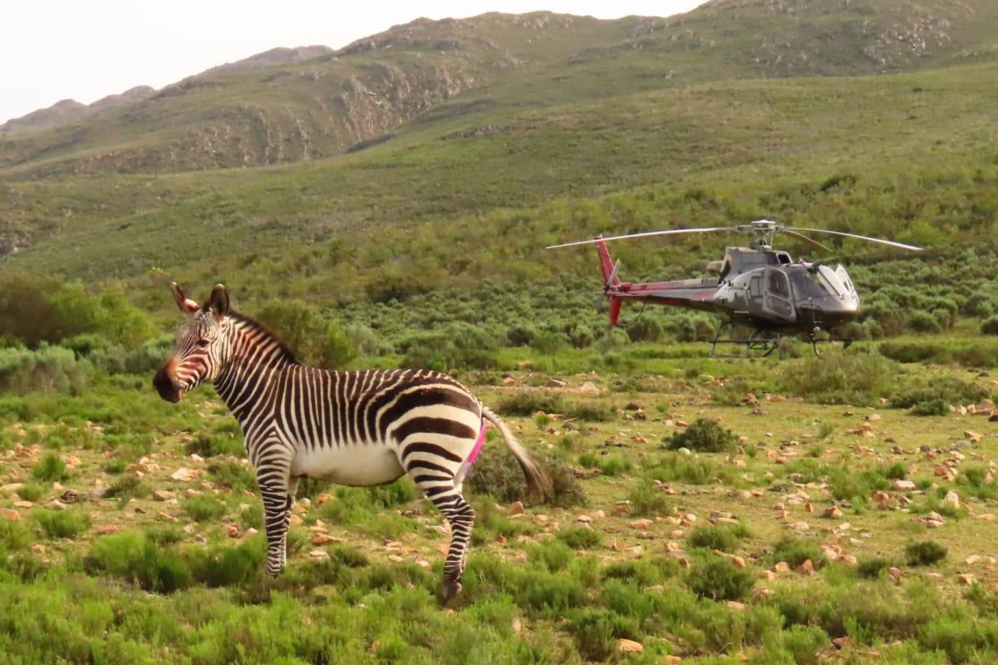 Whats App Image 2023 07 24 at 1 48 31 PM Whats App Image 2023 07 24 at 1 48 31 PM