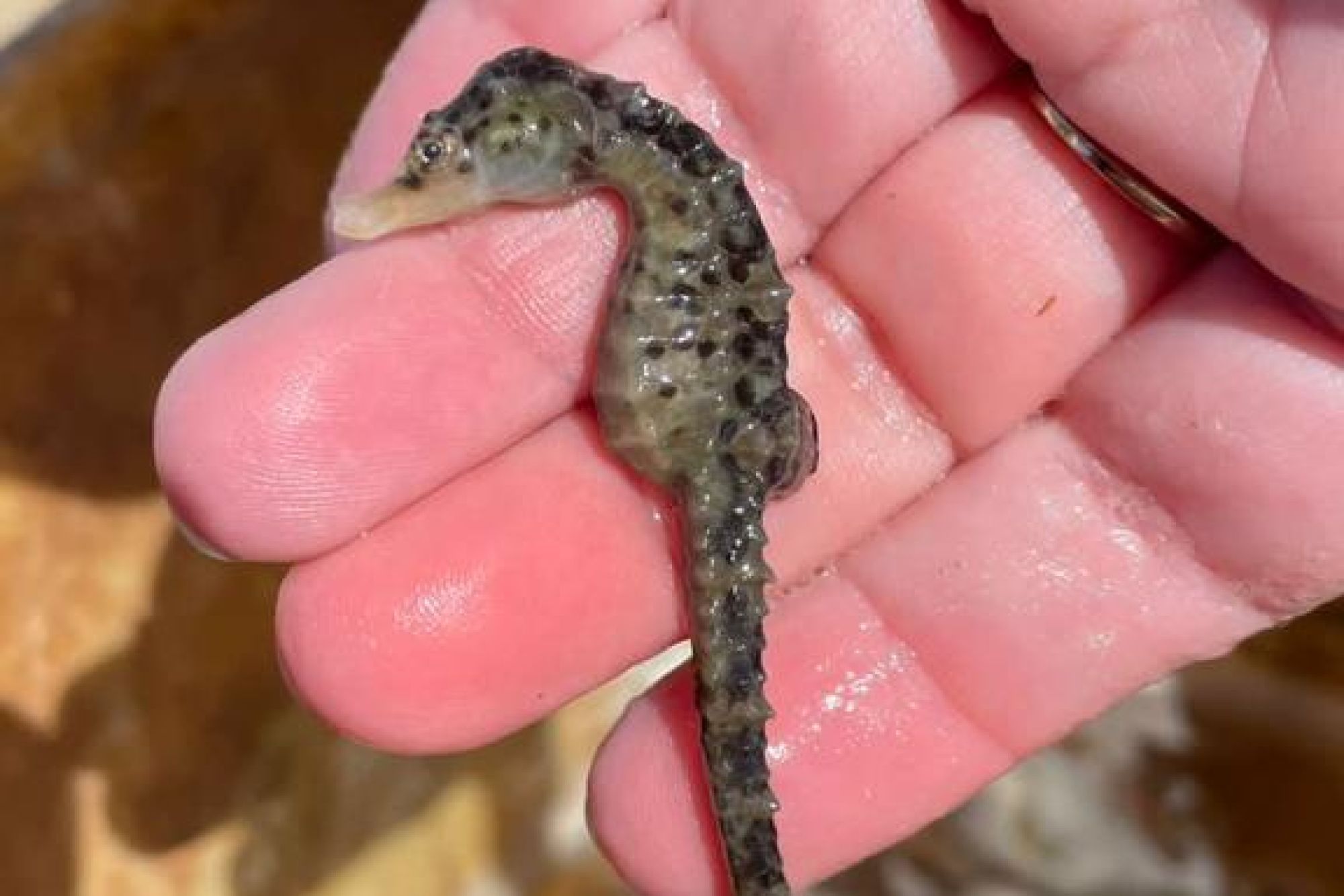 Whats App Image 2023 09 28 at 13 14 51 Whats App Image 2023 09 28 at 13 14 51