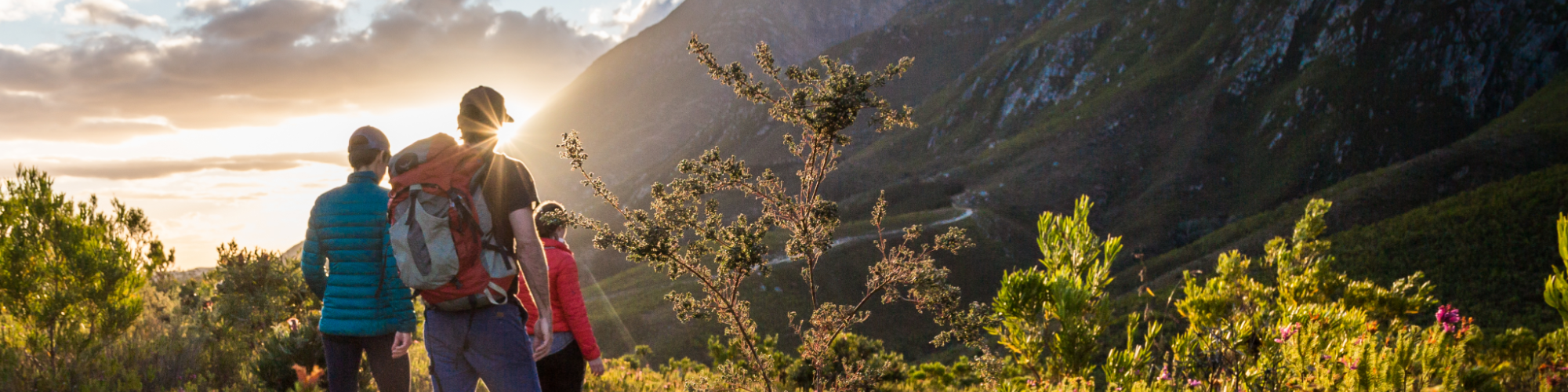 Header Marloth Scott Ramsay Header Marloth Scott Ramsay