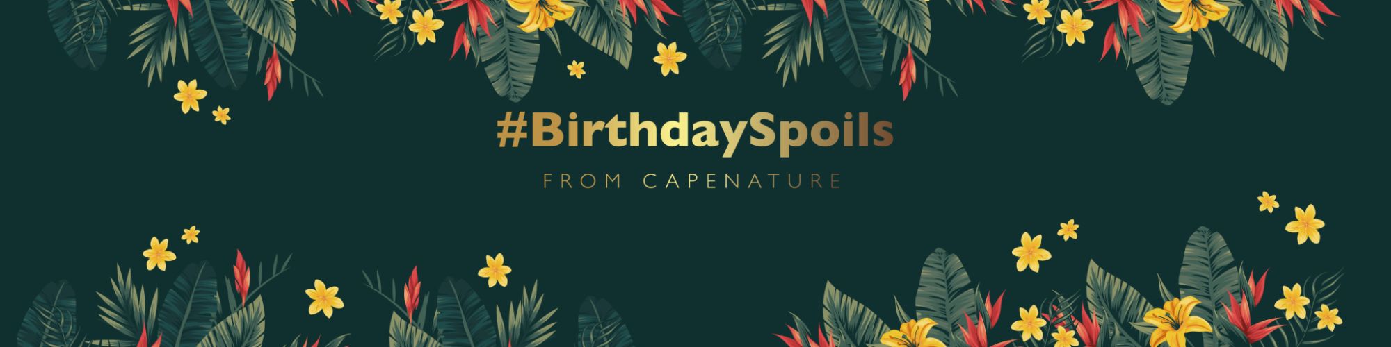 Home page Birthday Vouchers 06 06 Home page Birthday Vouchers 06 06